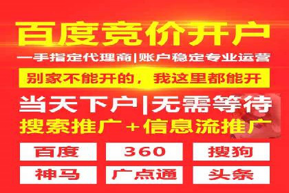成功案例解析：SEM竞价员策略